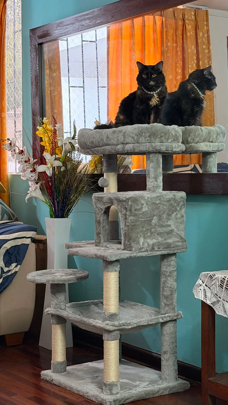 Juguetes gatos pequeños y grandes