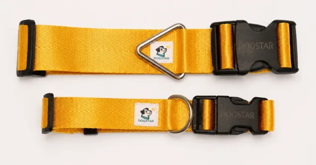 Collar Amarillo L/XL para perro