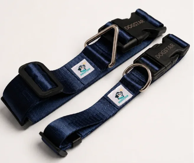 Collar Azul marino S/M para perro