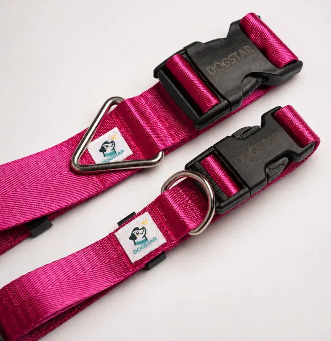 Collar Fucsia L/XL para perro