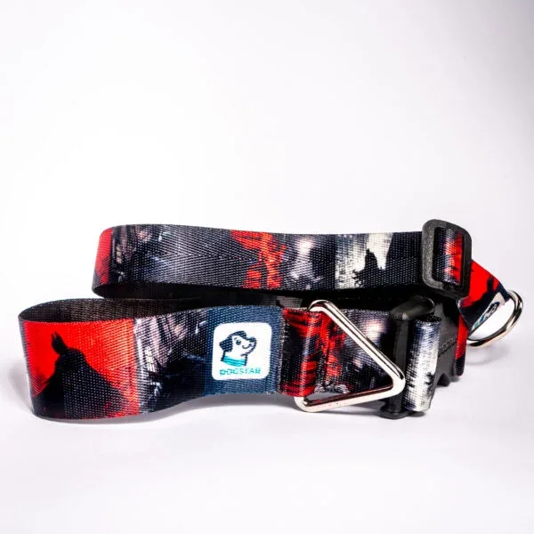 Collar Batman para perro