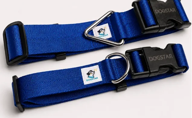 Collar Azulino para perro