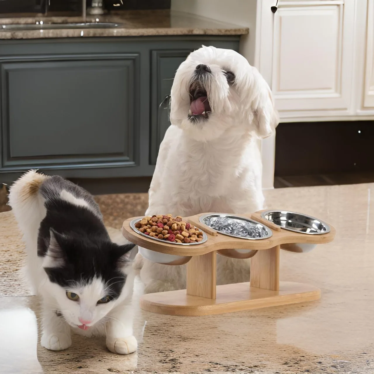 🐾 😻Comedero Para Gatos y perros pequeños 🐾 😻