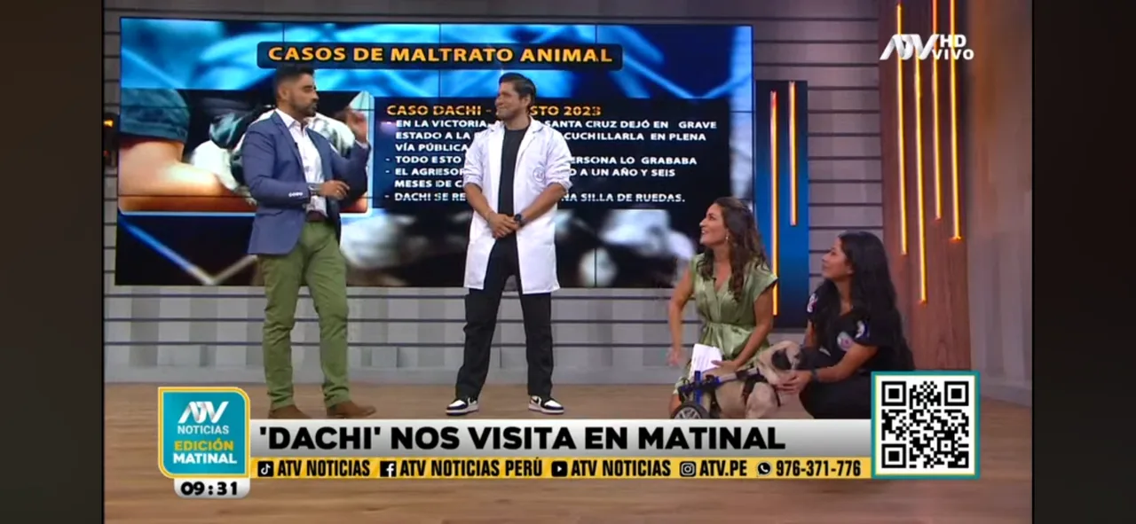 Foto de DrCesarVet