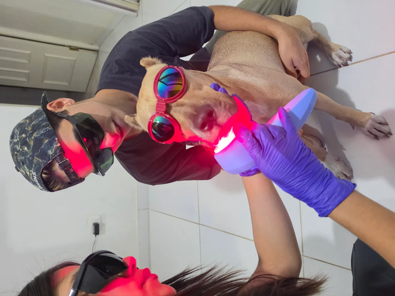 Foto de DrCesarVet